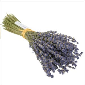 Bouquet de fleur de Lavande Fine